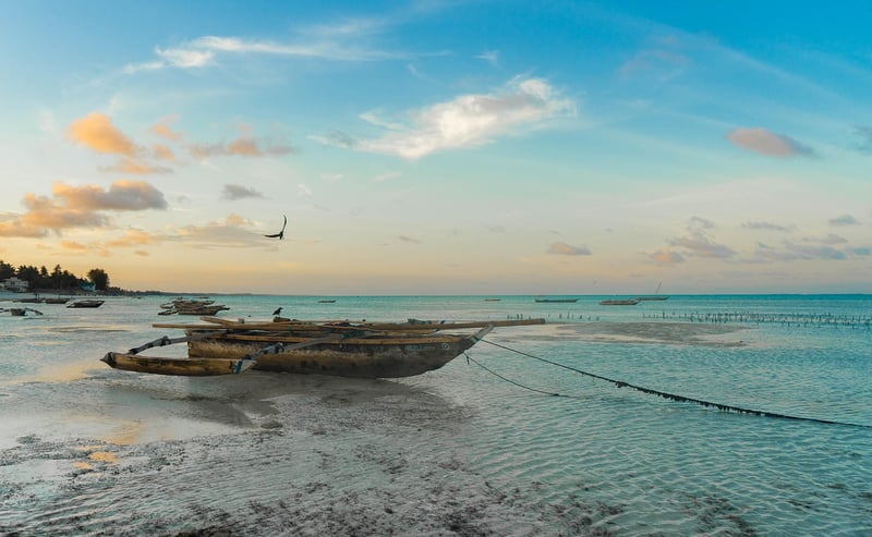 Exotic Coastlines